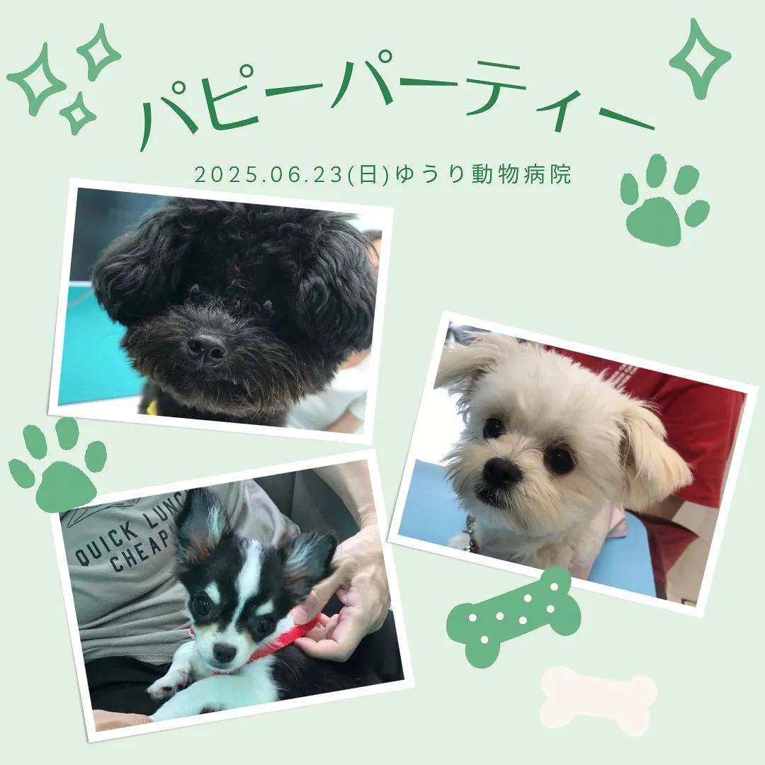 【パピーパーティー】