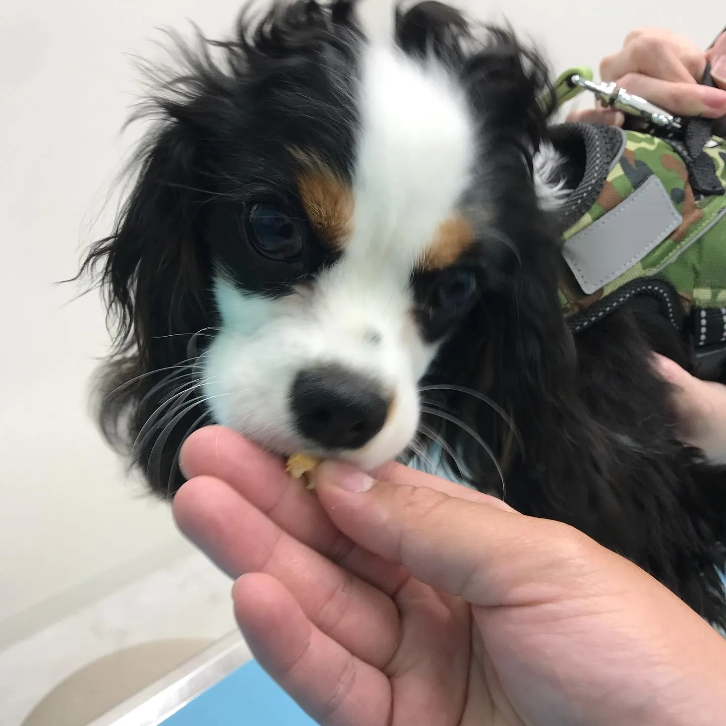 こんにちは＾＾