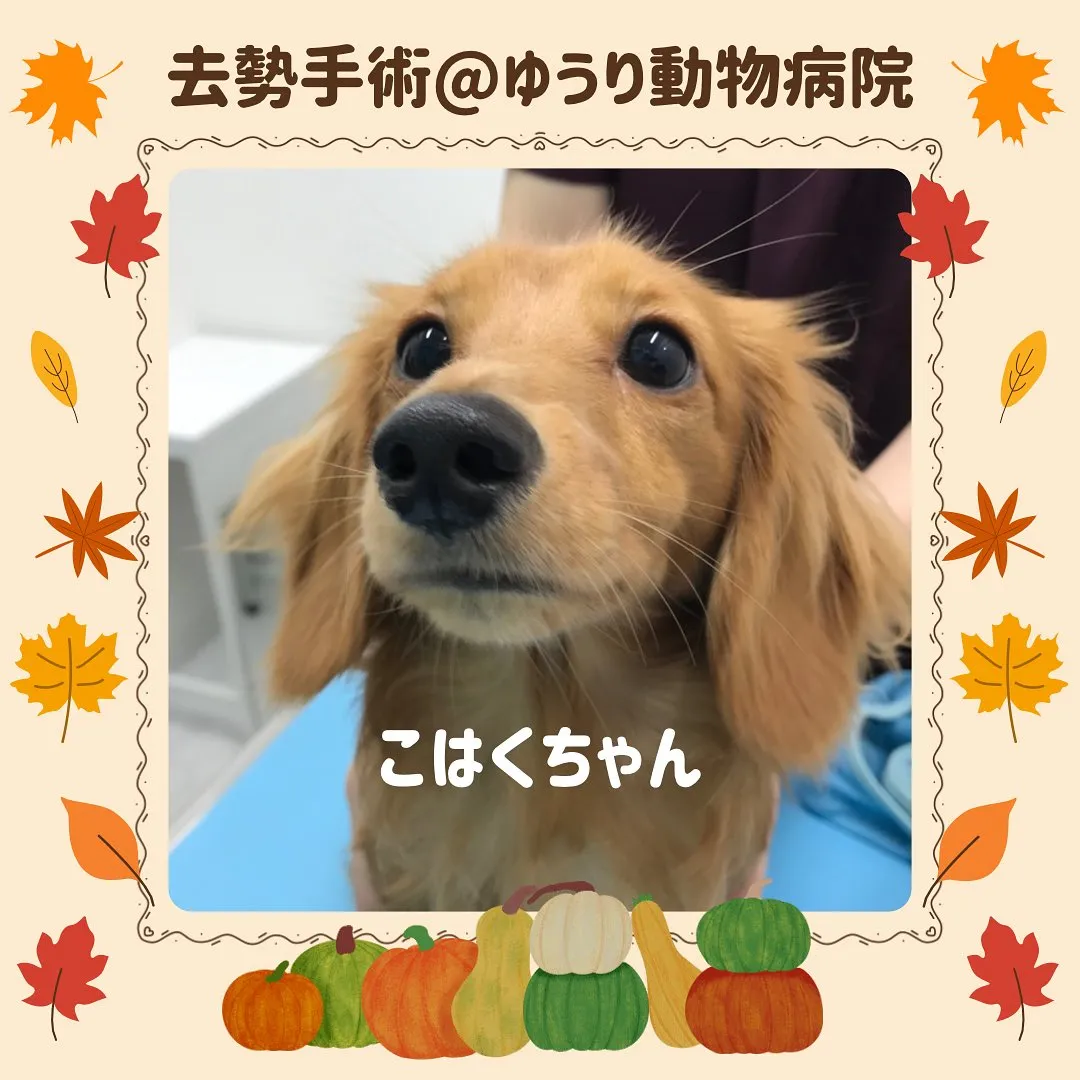 こんにちは＾＾