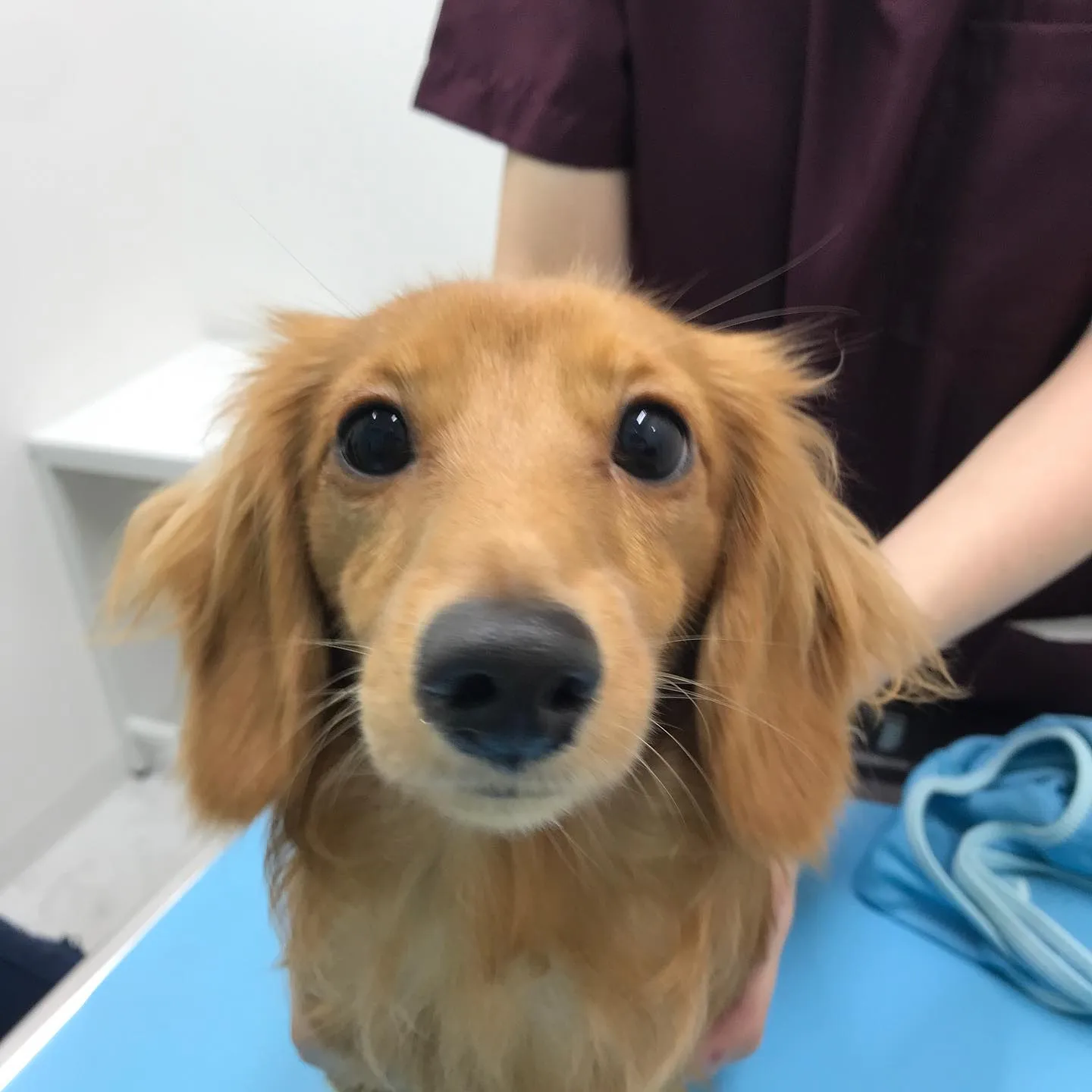 こんにちは＾＾