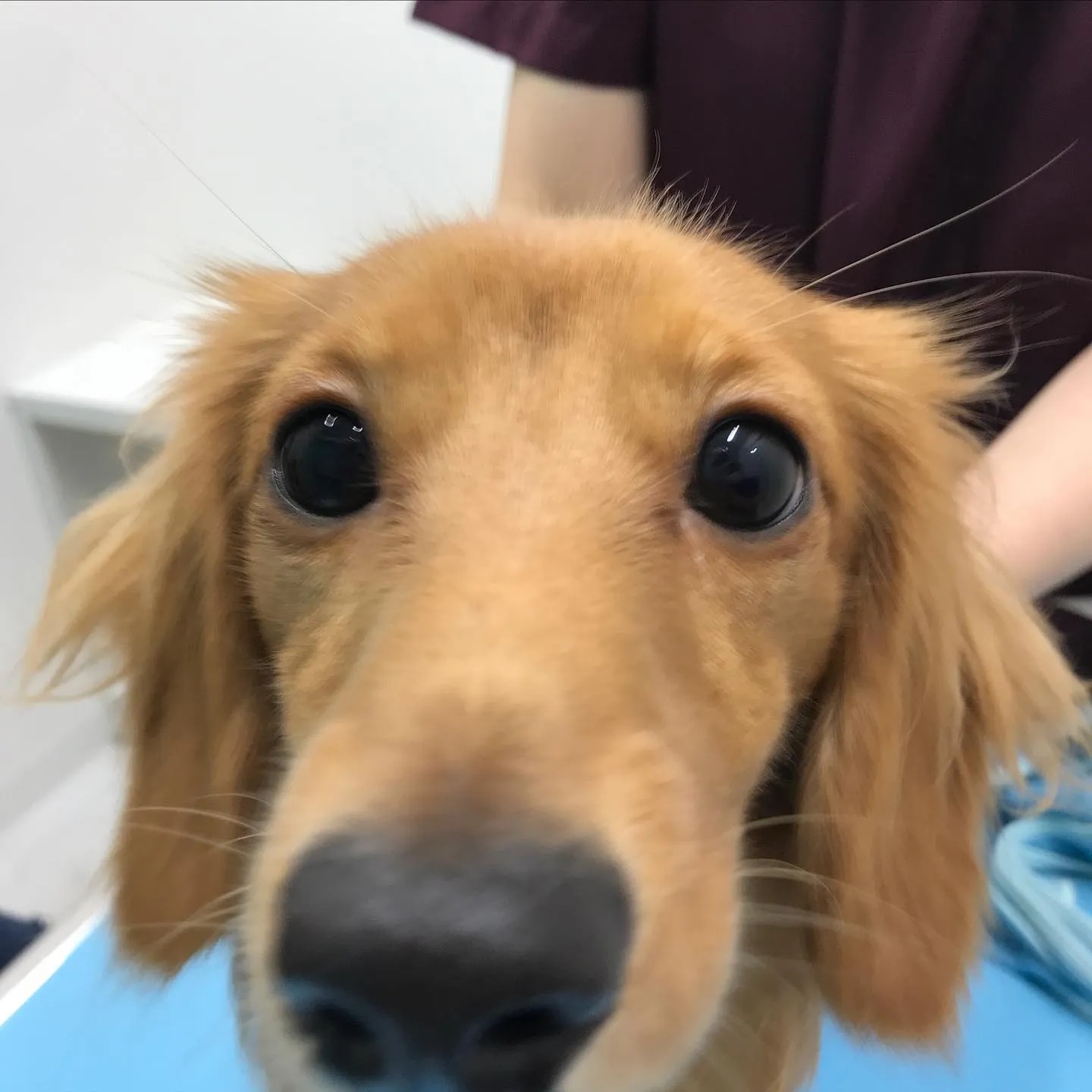 こんにちは＾＾