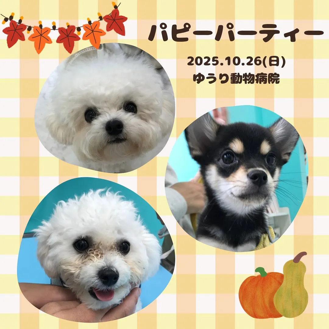 【パピーパーティー】