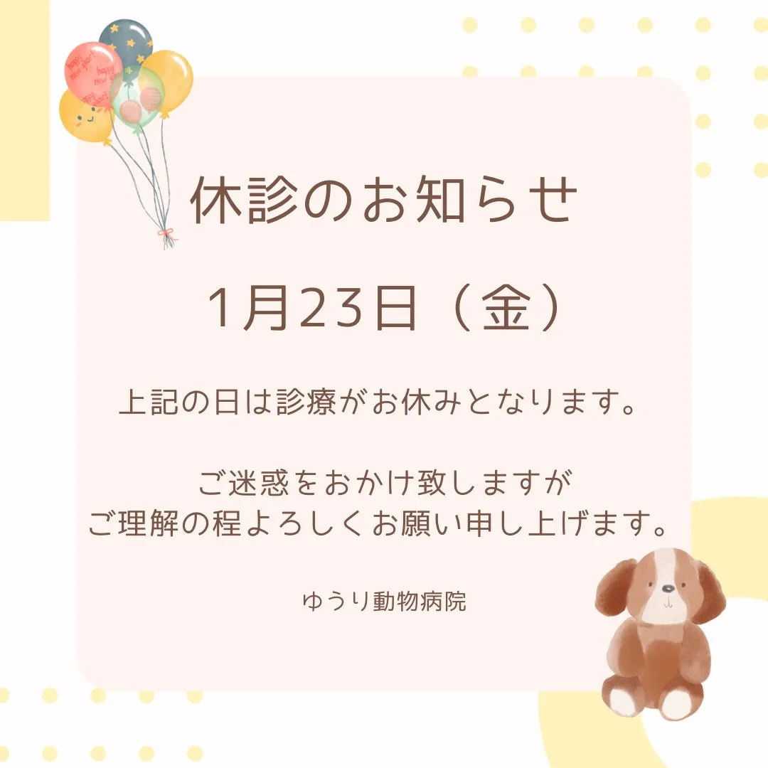 【休診日のお知らせ】