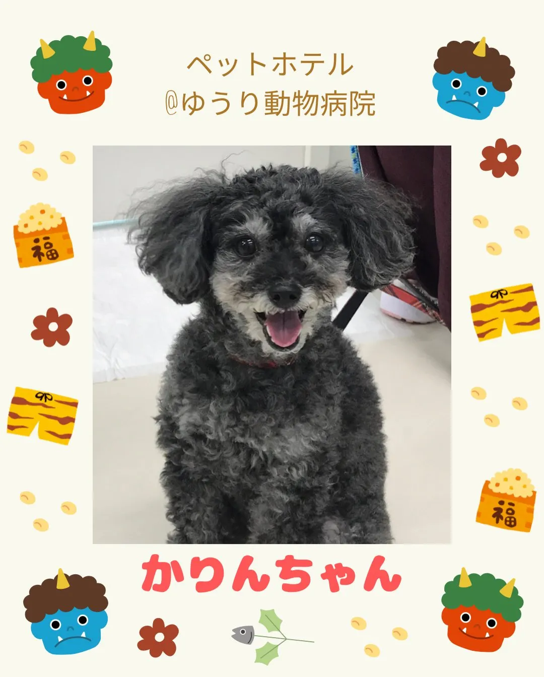 【ペットホテル　犬ちゃん】