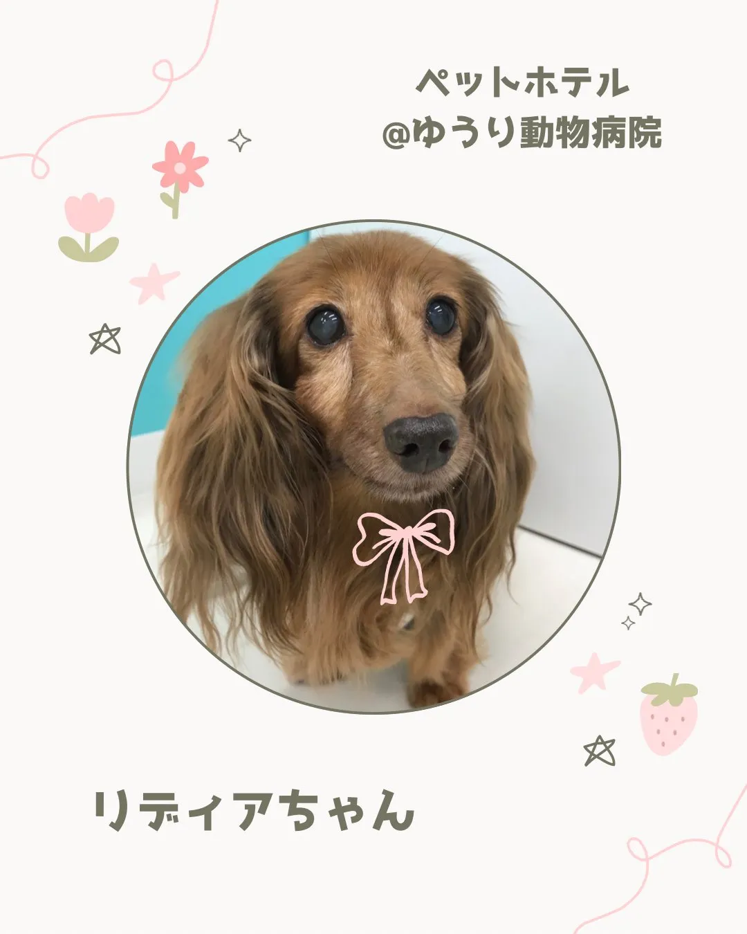 【ペットホテル　犬ちゃん】