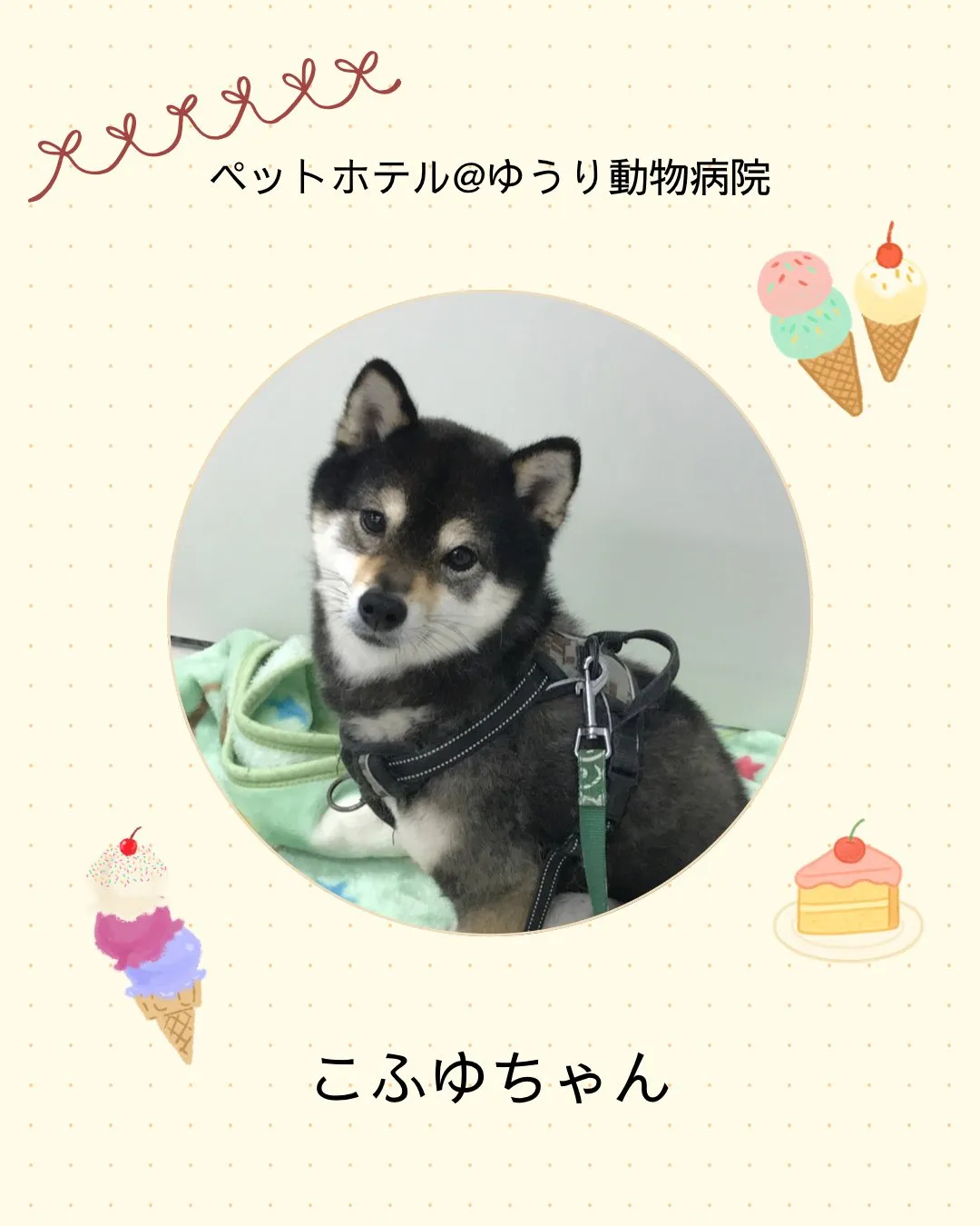 【ペットホテル　犬ちゃん】