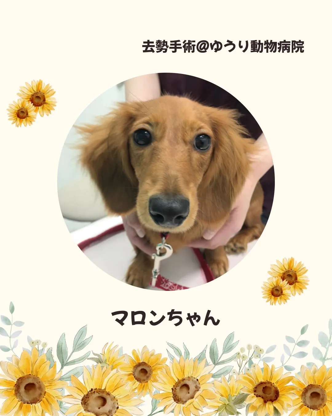 こんにちは⭐︎