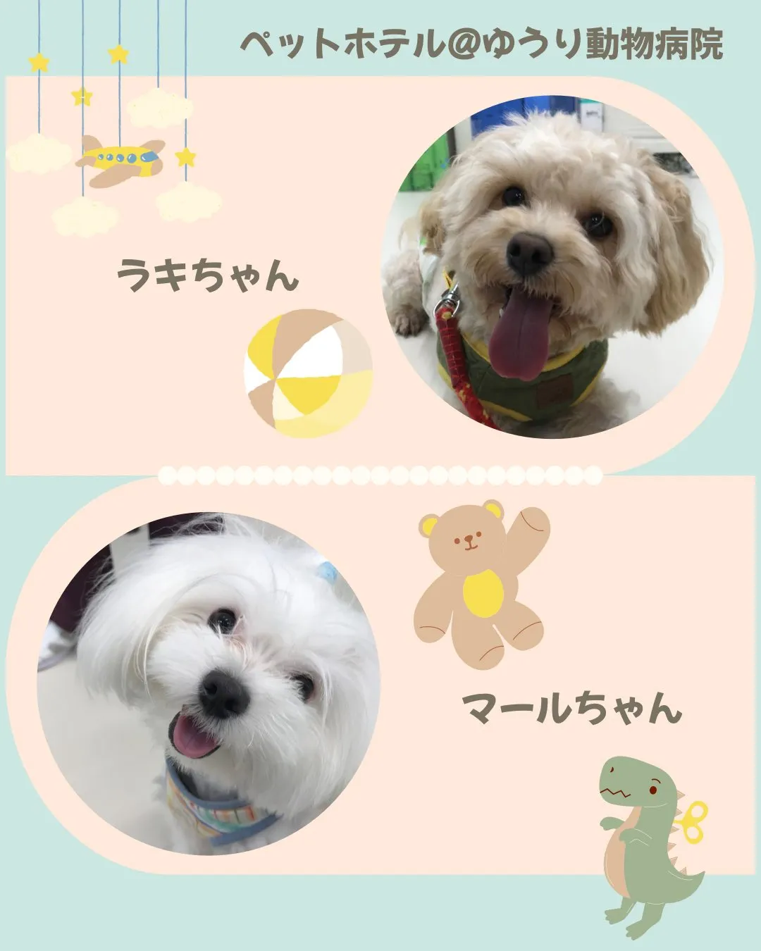 【ペットホテル　犬ちゃん】