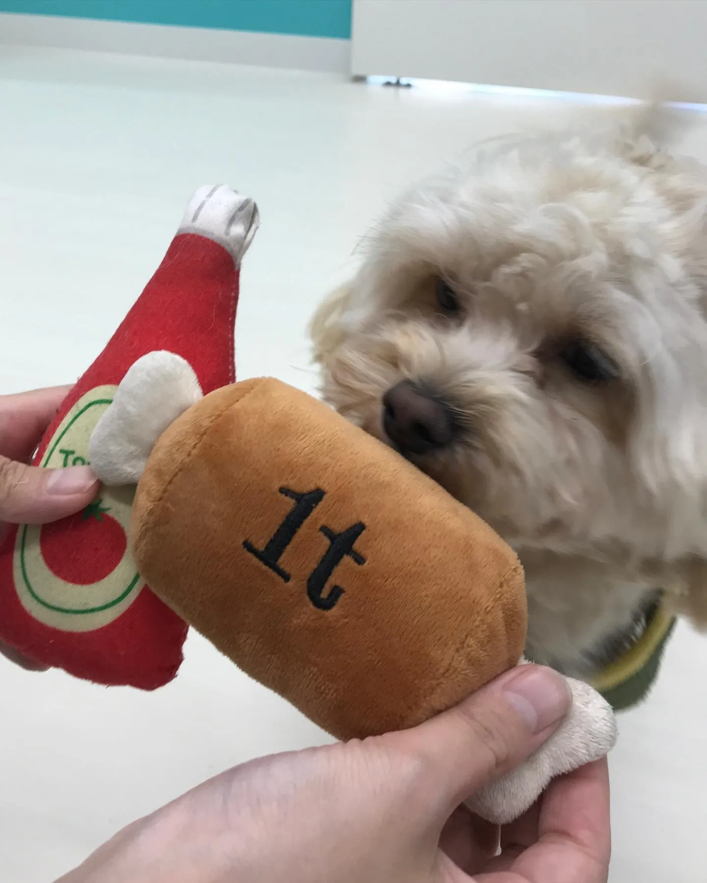 【ペットホテル　犬ちゃん】