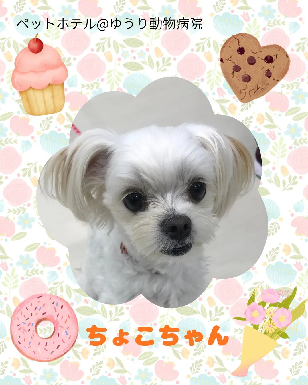 【ペットホテル　犬ちゃん】