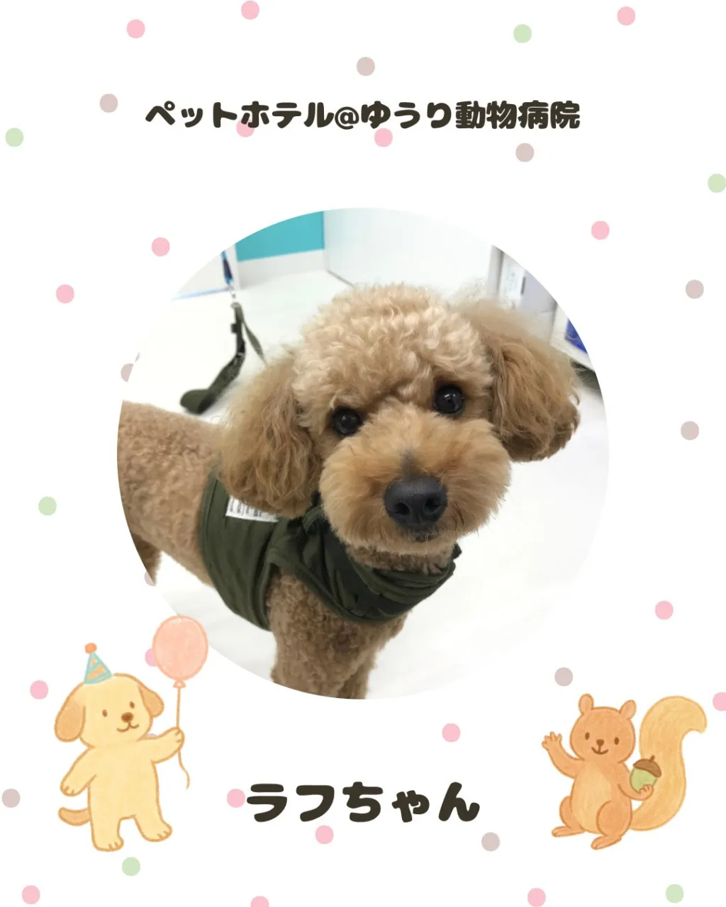 【ペットホテル 犬ちゃん】