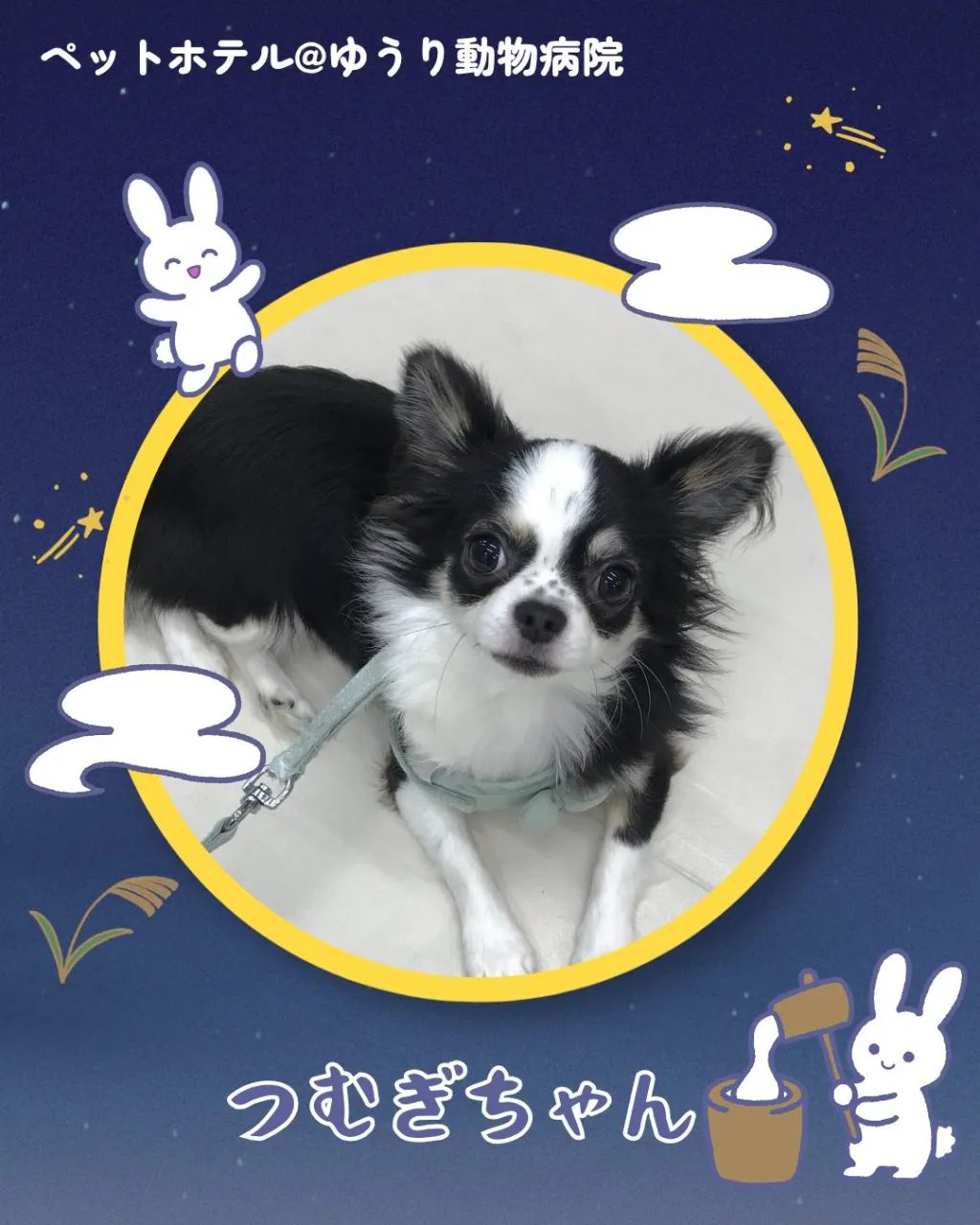 【ペットホテル 犬ちゃん】